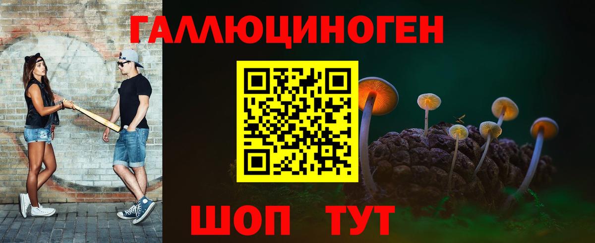 Псилоцибиновые грибы Psilocybe  Вход с VPN  Котовск 